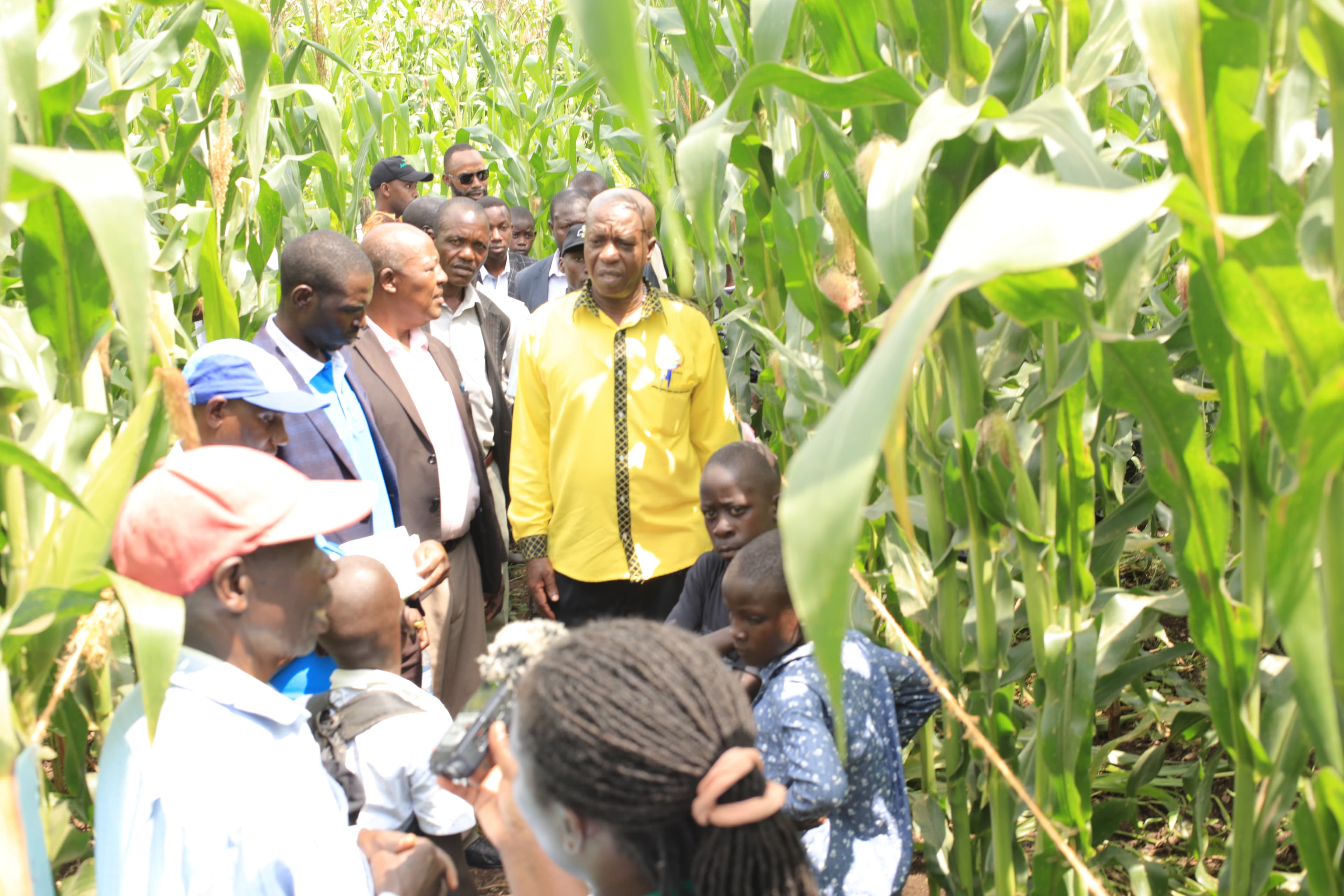 KUZA Africa Farmer Field School